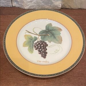 Mikasa Fruit Odyssey Salad plate